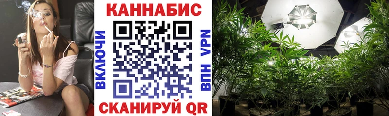 Конопля VHQ  Печора 